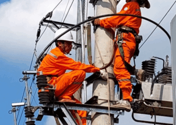 Thông báo lịch cúp điện Đồng Tháp ngày 29/07/2025 (Lịch riêng khu vực Tiền Giang cũ)