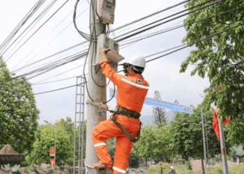 Thông báo lịch cúp điện Lâm Đồng ngày 12/08/2025 (Lịch riêng khu vực Bình Thuận cũ)