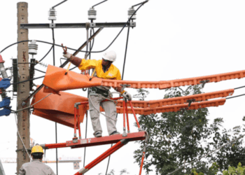 Thông báo lịch cúp điện Đồng Tháp ngày 07/08/2025 (Lịch riêng khu vực Tiền Giang cũ)