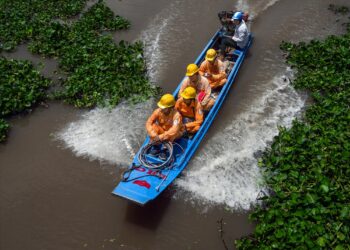 Thông báo lịch cúp điện Đồng Tháp ngày 01/10/2025 (Lịch riêng khu vực Tiền Giang cũ)