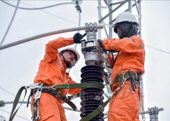 Thông báo lịch cúp điện Tây Ninh ngày 28/09/2025 (Lịch riêng khu vực Long An cũ)