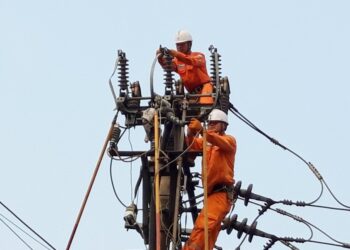 Thông báo lịch cúp điện Đồng Tháp ngày 31/10/2025 (Lịch riêng khu vực Tiền Giang cũ)