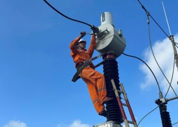 Thông báo lịch cúp điện Đồng Tháp ngày 15/10/2025 (Lịch riêng khu vực Tiền Giang cũ)