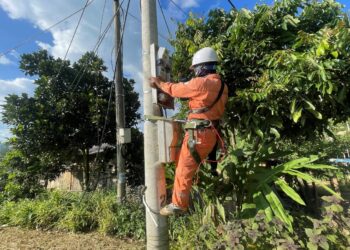 Thông báo lịch cúp điện Đồng Tháp ngày 12/11/2025 (Lịch riêng khu vực Tiền Giang cũ)